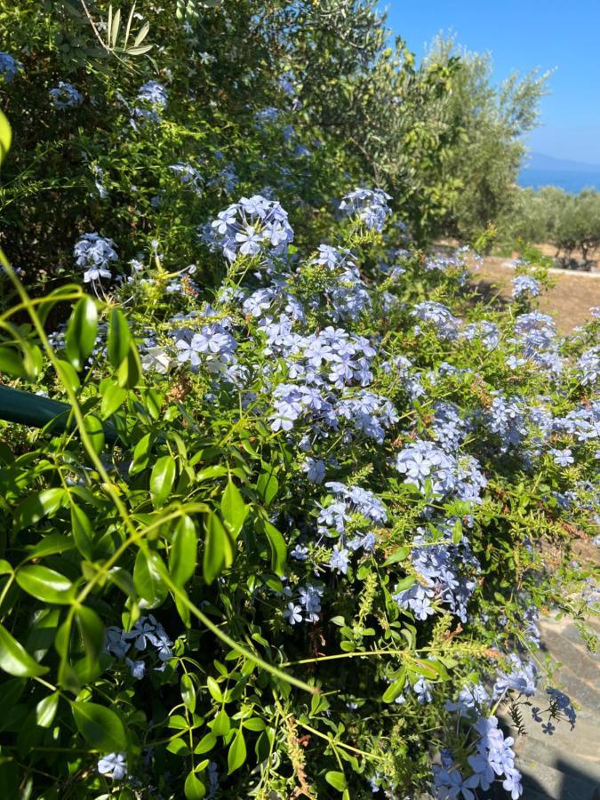 Villa Pefnos 圣尼古拉奥斯 外观 照片